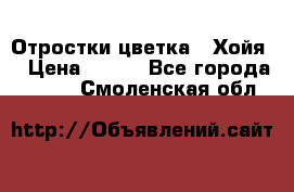 Отростки цветка  “Хойя“ › Цена ­ 300 - Все города  »    . Смоленская обл.